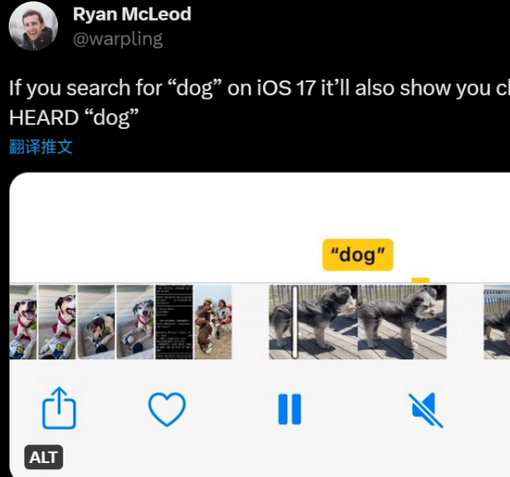 黄陵apple维修店分享通过关键字搜索iPhone视频内声音 